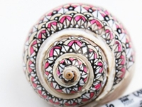 Deavita Painted Snail Shells